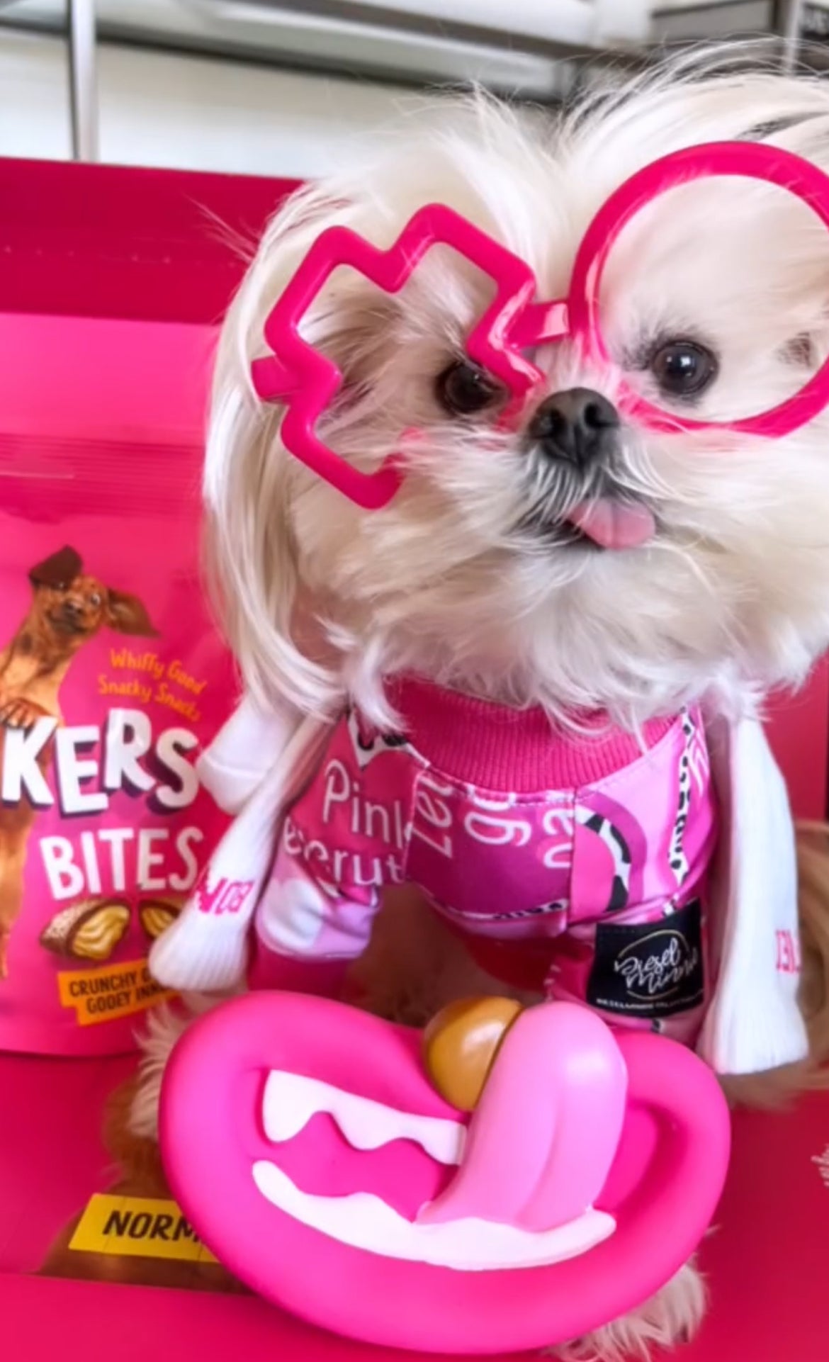 The Pink Everything (Maltese)