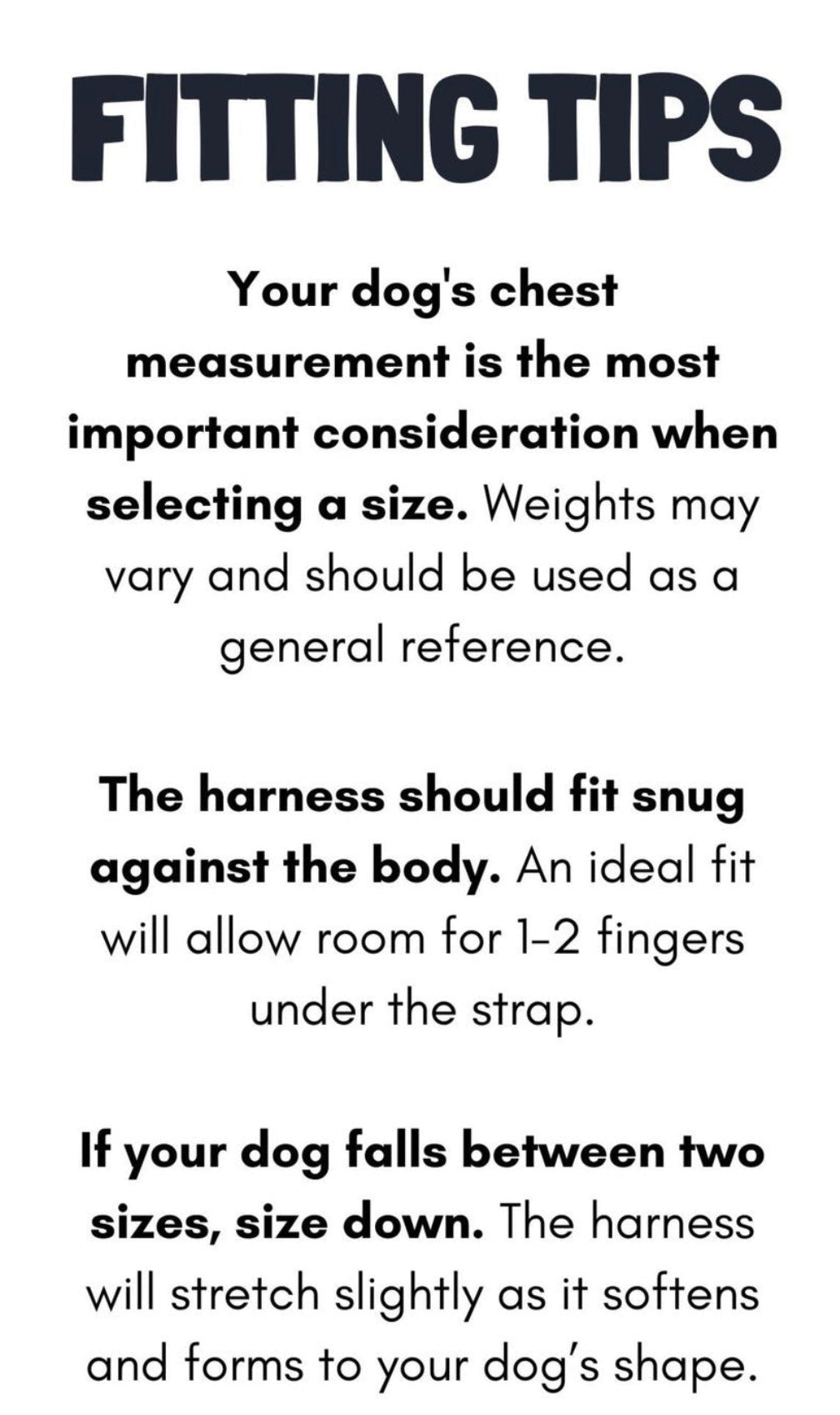 Buddy Belt Harness - Tiffurny Limited