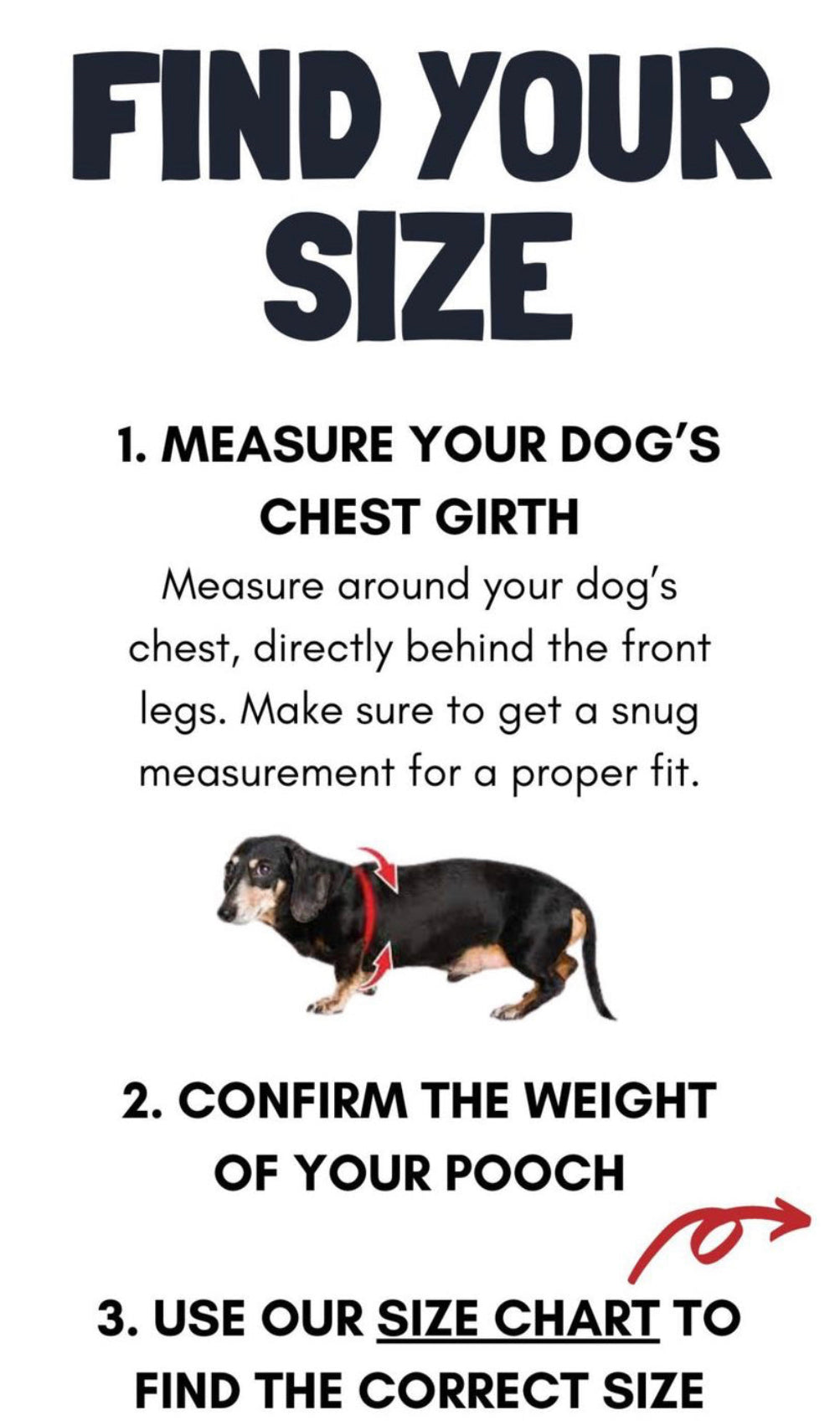 Buddy Belt Harness - Tiffurny Limited