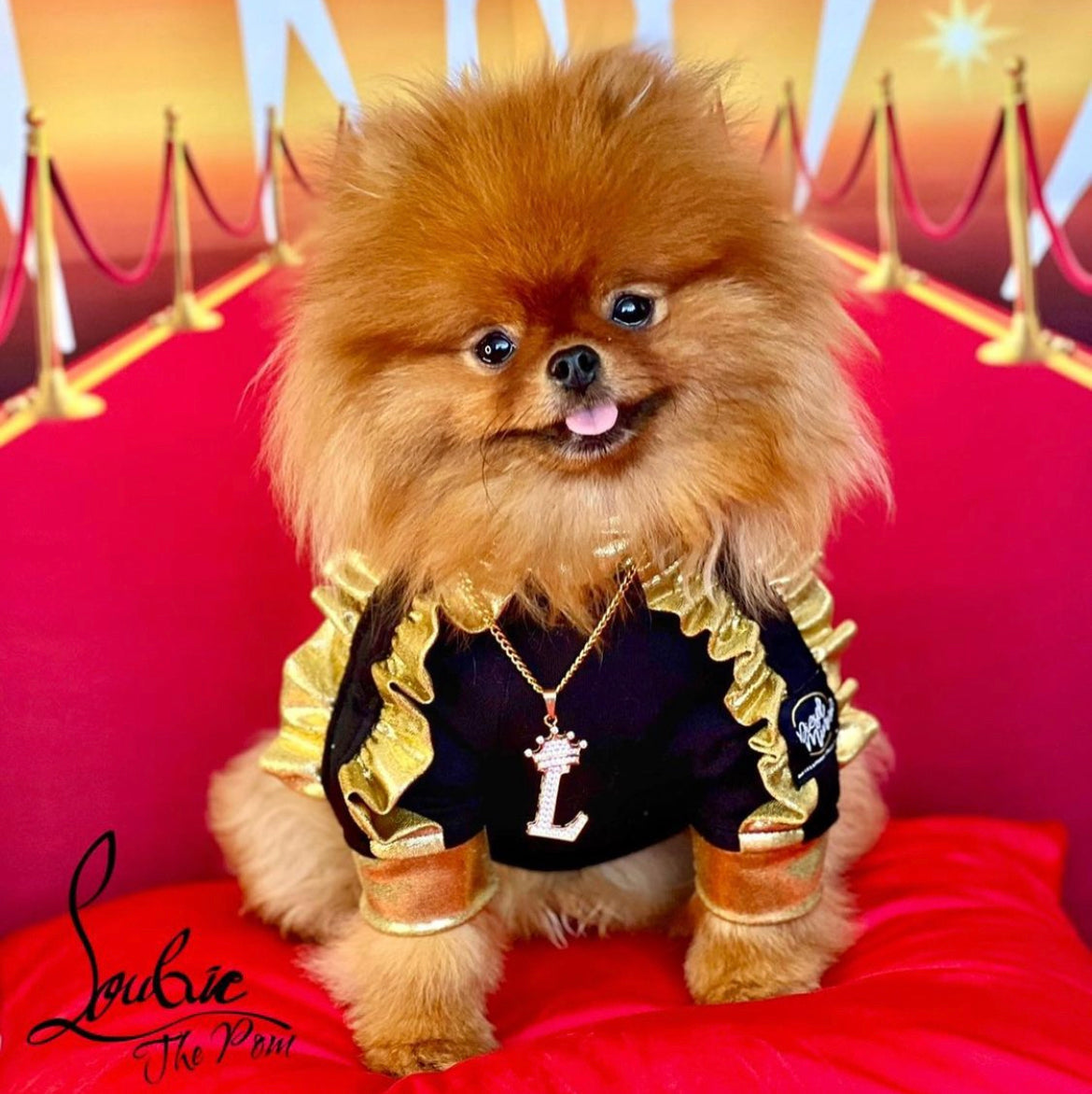 Custom Order (Pomeranian)