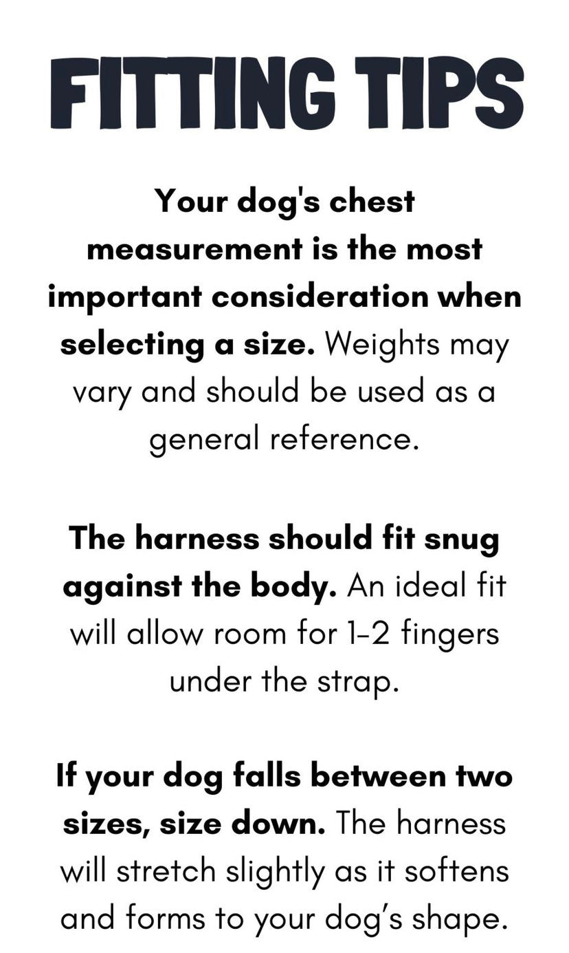 Buddy Belt Harness - Caramel Permanent