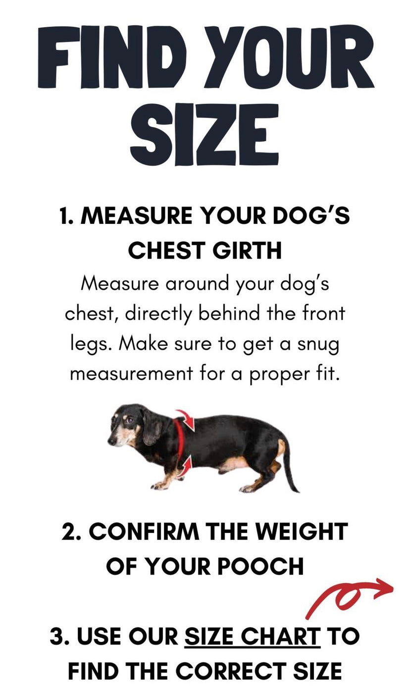 Buddy Belt Harness - Black Permanent