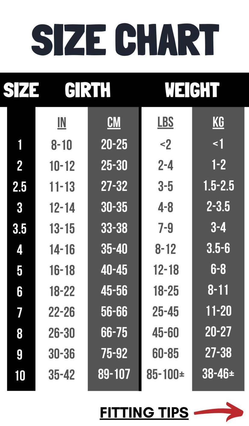 Buddy Belt Harness - Black Permanent